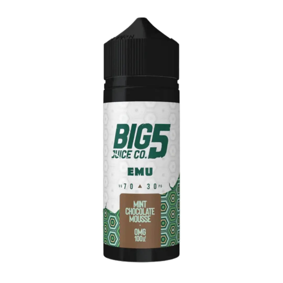 Big 5 Vape Juice Creamy Series 100ml Shortfill