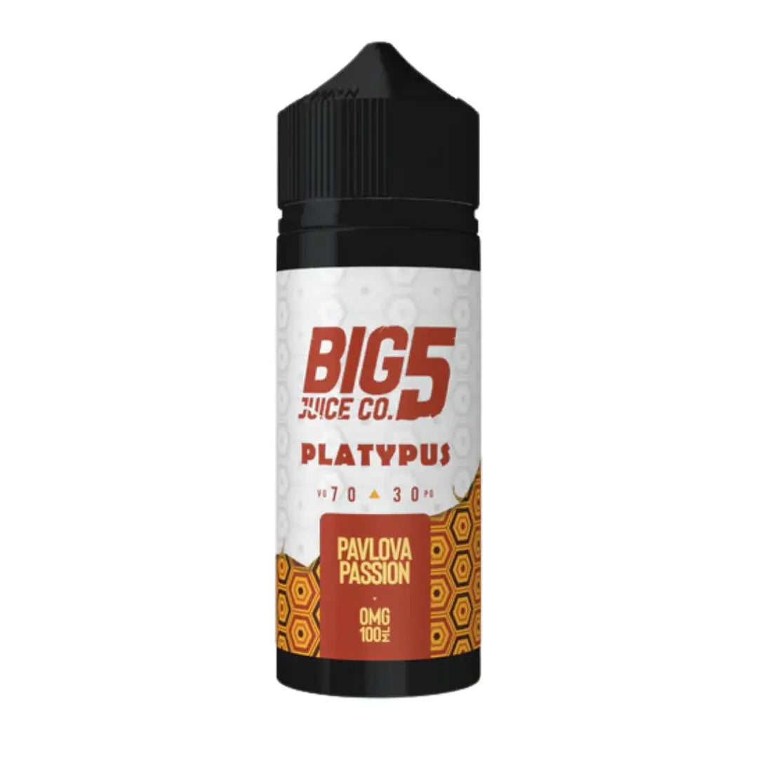 Big 5 Vape Juice Creamy Series 100ml Shortfill